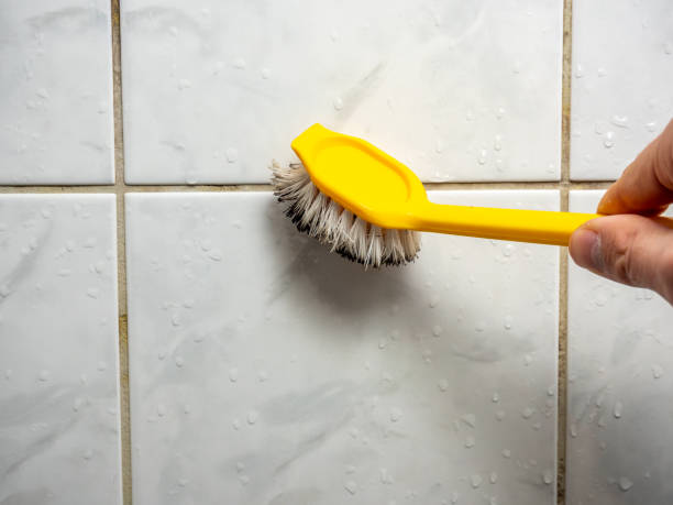 Best Office Mold Removal Services  in Masontown, PA