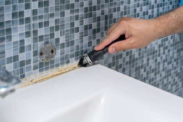 Best Mold Damage Repair  in Masontown, PA