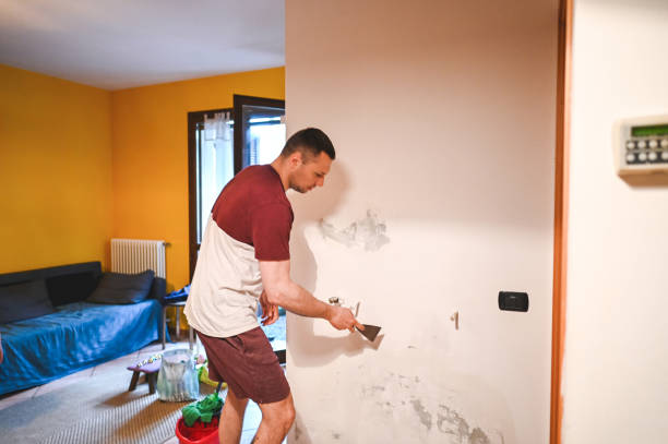 Best Attic Mold Removal  in Masontown, PA